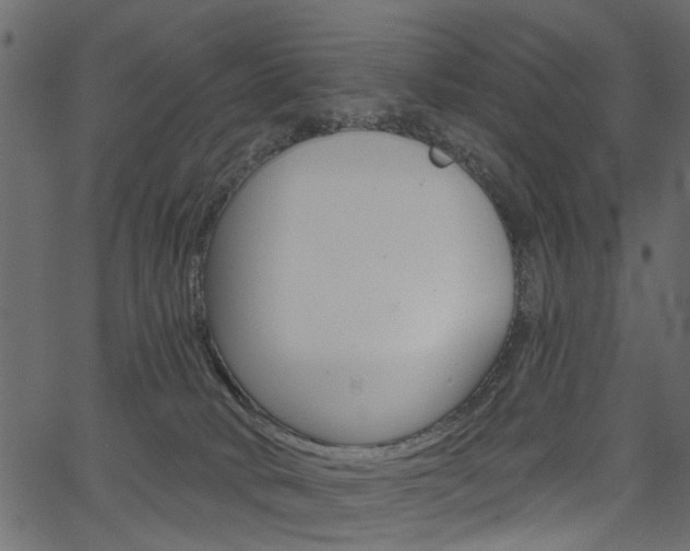 X0000067390034200603311006