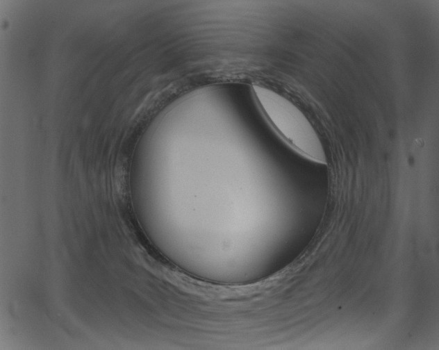 X0000067390035200603311006