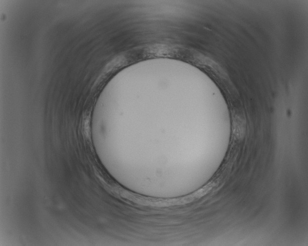 X0000067390036200603311006