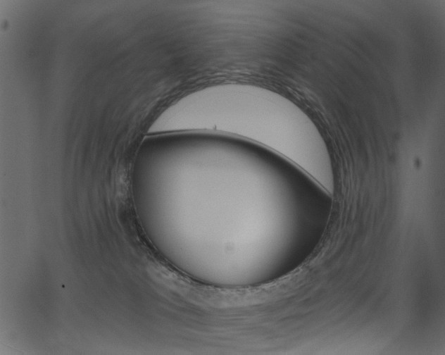 X0000067390037200603311006