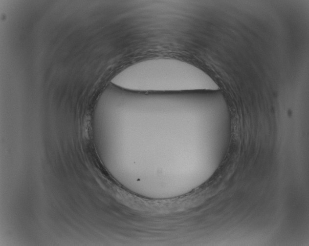 X0000067390038200603311006