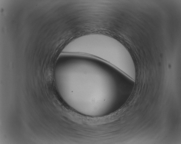 X0000067390039200603311006