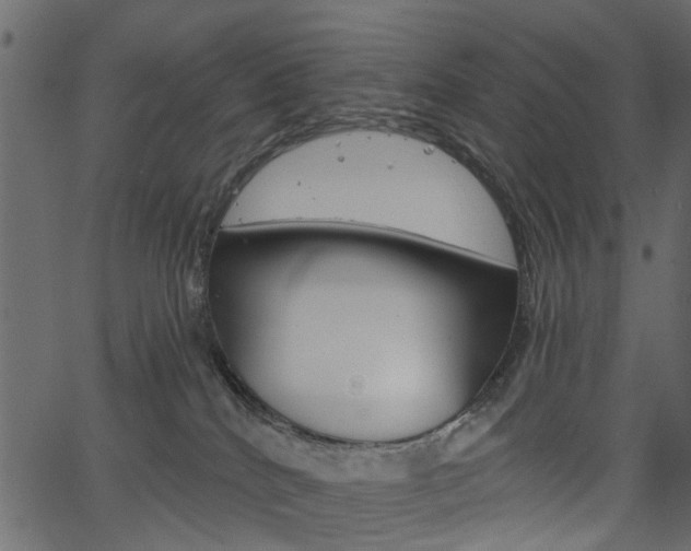 X0000067390040200603311006