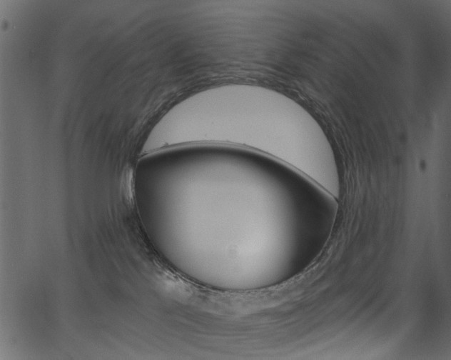 X0000067390041200603311006