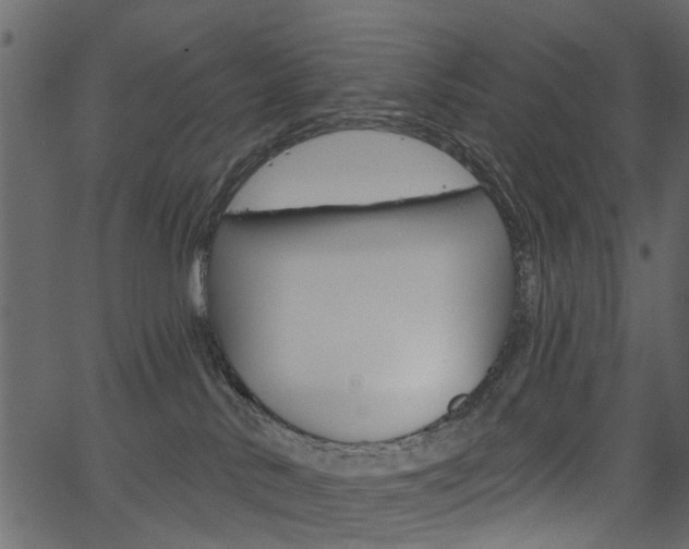 X0000067390042200603311006