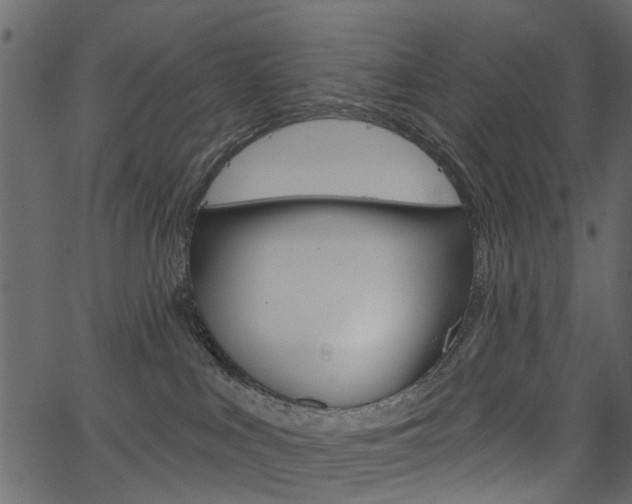 X0000067390043200603311006