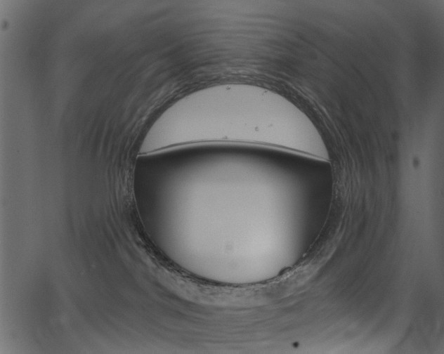 X0000067390044200603311006