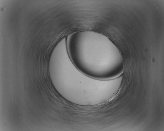 X0000067390045200603311006