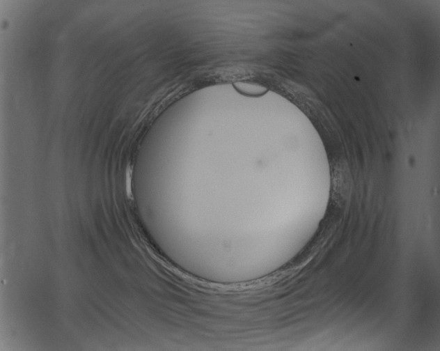 X0000067390046200603311006