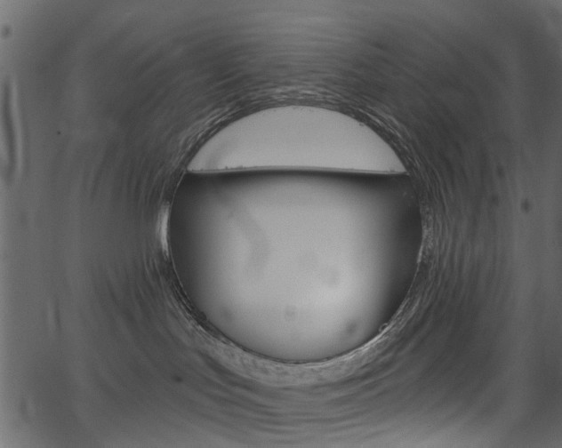 X0000067390047200603311006