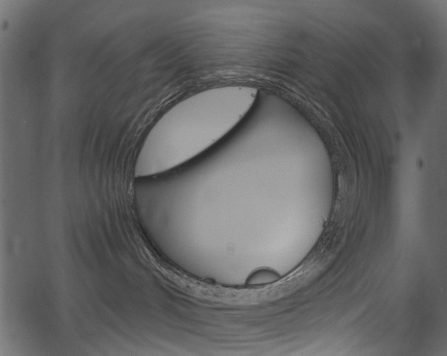 X0000067390048200603311006