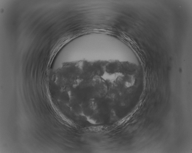 X0000067390049200603311005