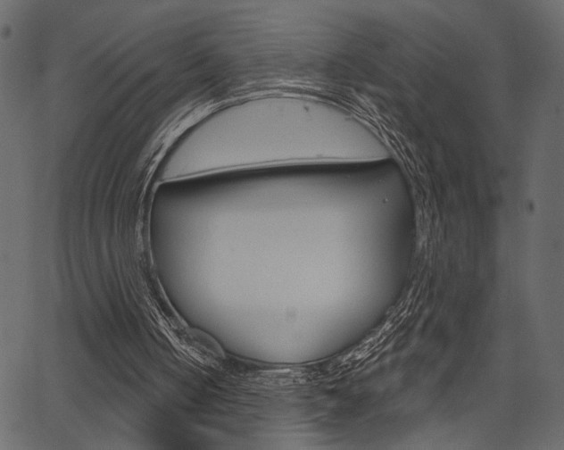 X0000067390050200603311005