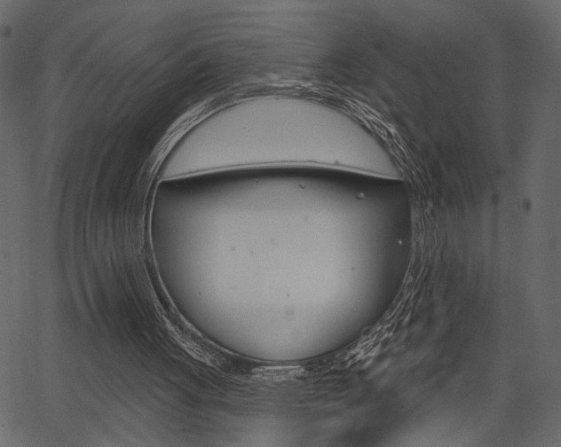 X0000067390051200603311005