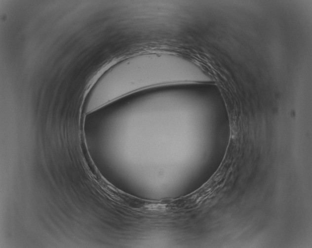 X0000067390052200603311005