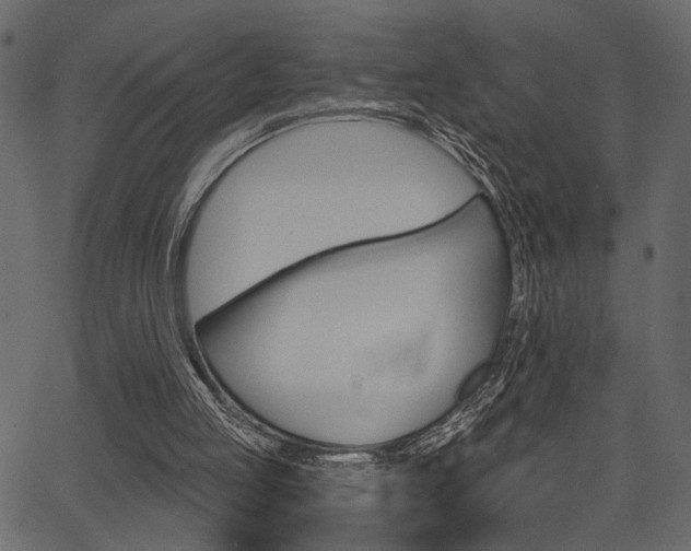 X0000067390053200603311005