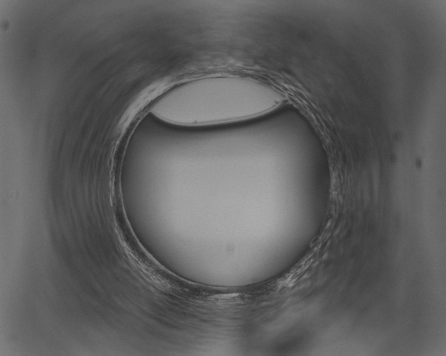 X0000067390054200603311005