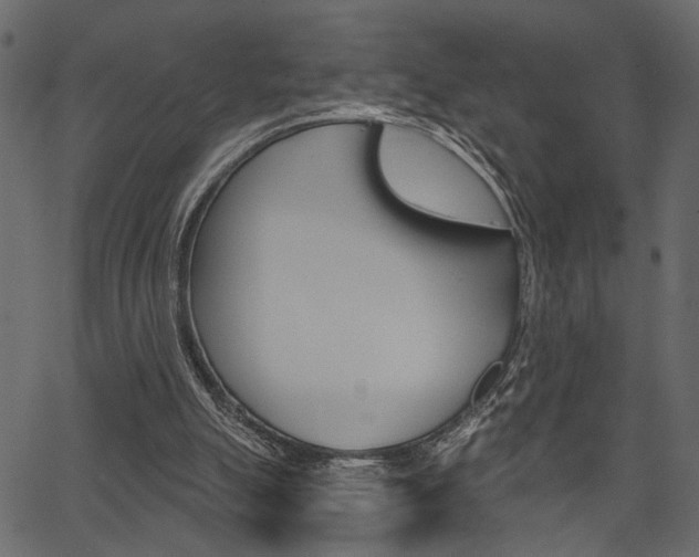 X0000067390055200603311006