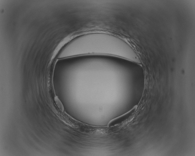 X0000067390056200603311006