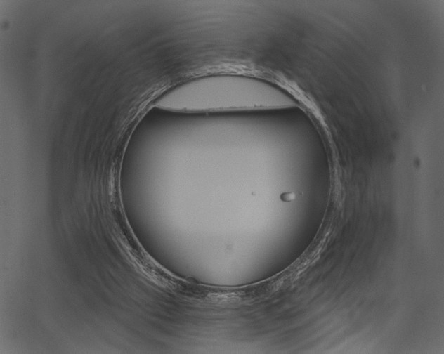 X0000067390057200603311006