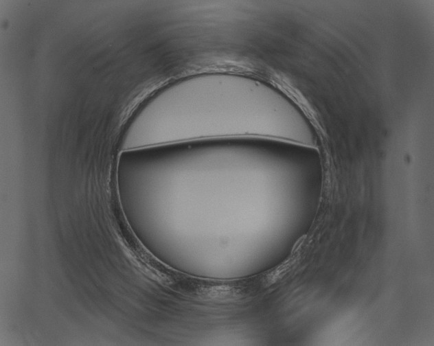 X0000067390058200603311006