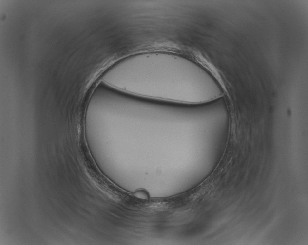 X0000067390059200603311006