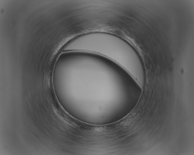 X0000067390060200603311006