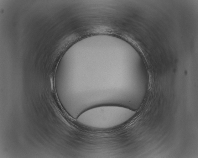 X0000067390061200603311006