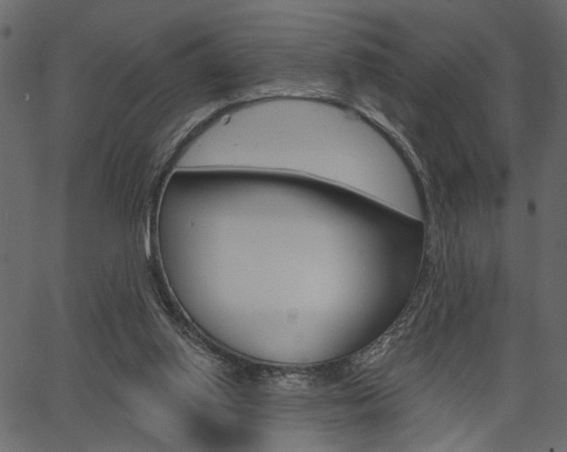 X0000067390062200603311006