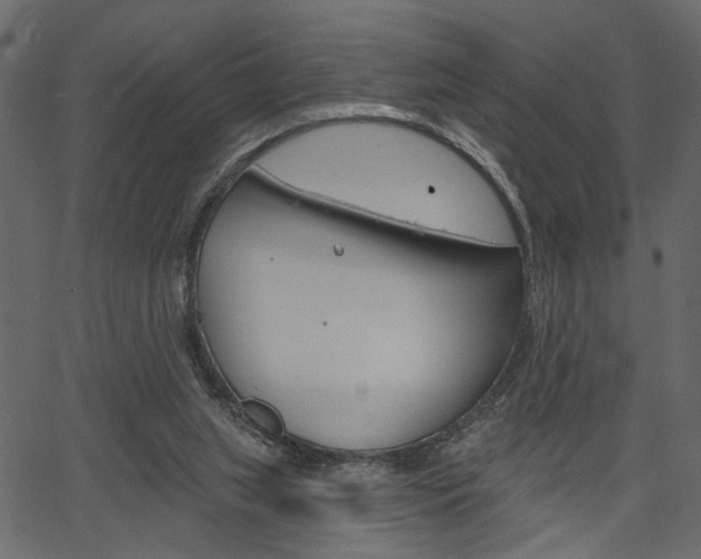 X0000067390063200603311006