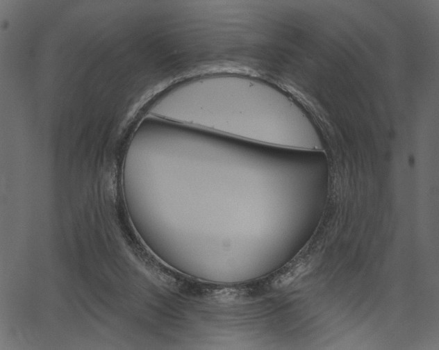 X0000067390064200603311006