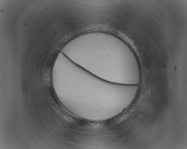 X0000067390065200603311006