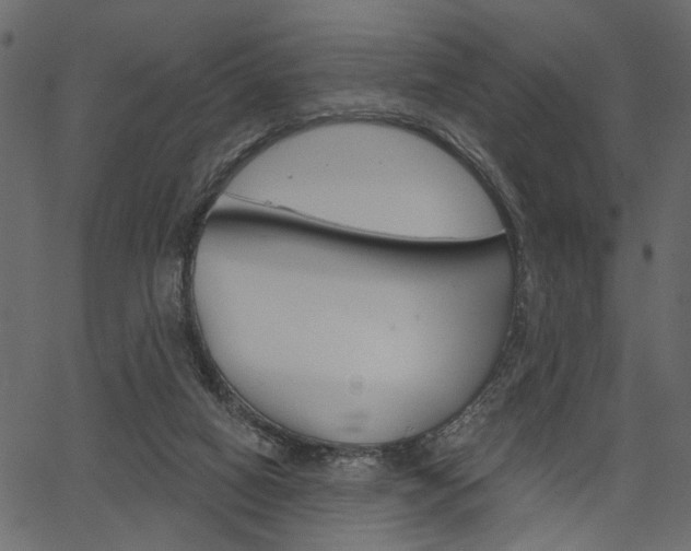 X0000067390066200603311006