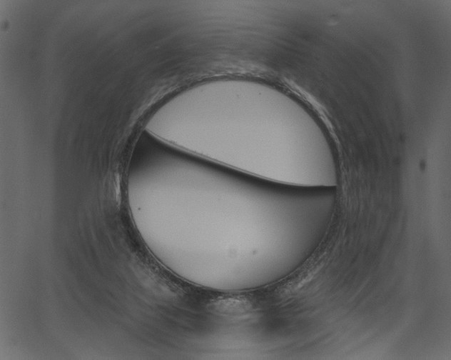 X0000067390067200603311006