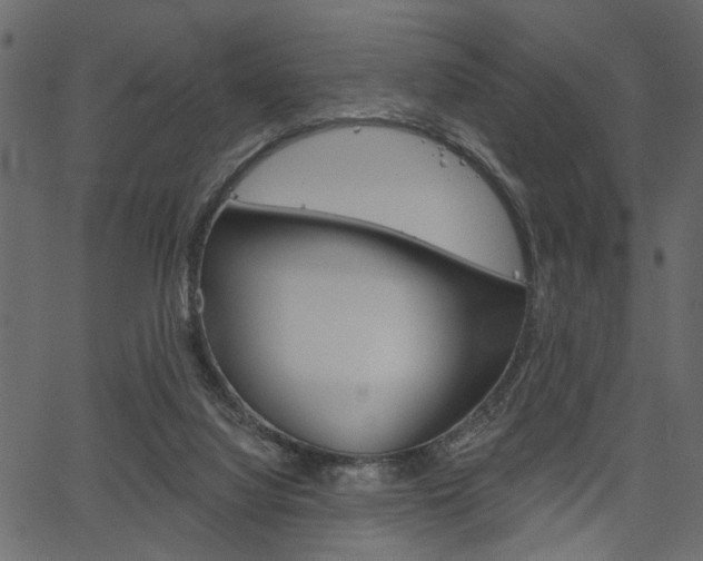 X0000067390068200603311006