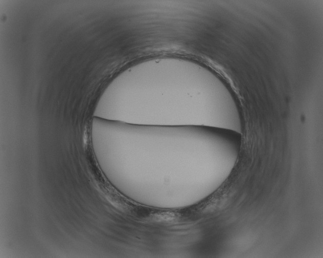 X0000067390069200603311006