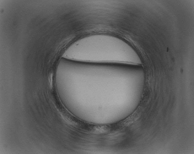 X0000067390070200603311006