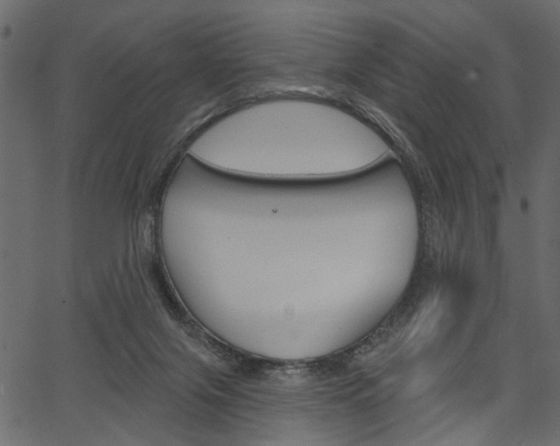 X0000067390071200603311006