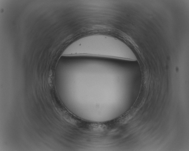 X0000067390073200603311006