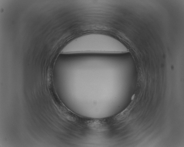 X0000067390074200603311006