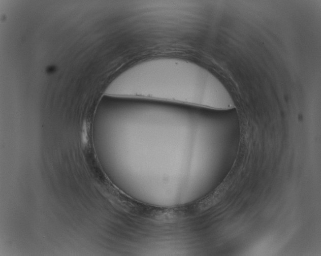 X0000067390075200603311006