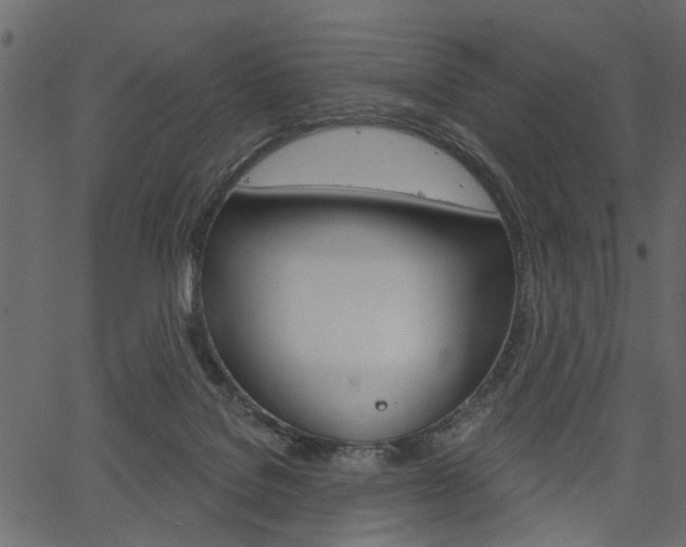 X0000067390076200603311006