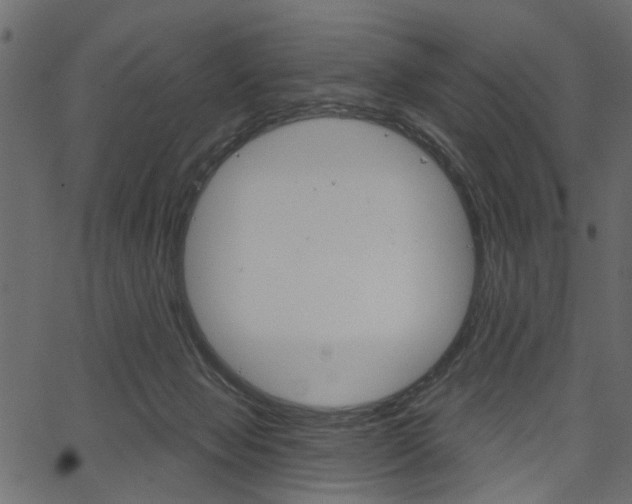 X0000067390077200603311006