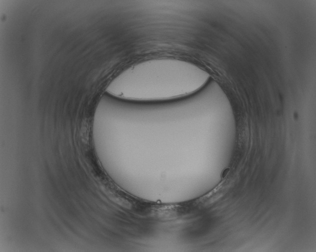 X0000067390078200603311006