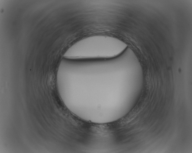 X0000067390079200603311006