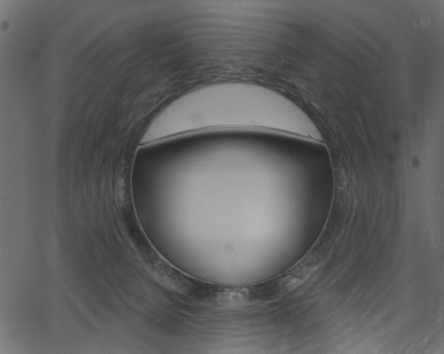 X0000067390080200603311006