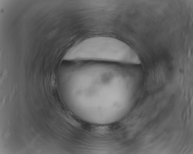 X0000067390081200603311006