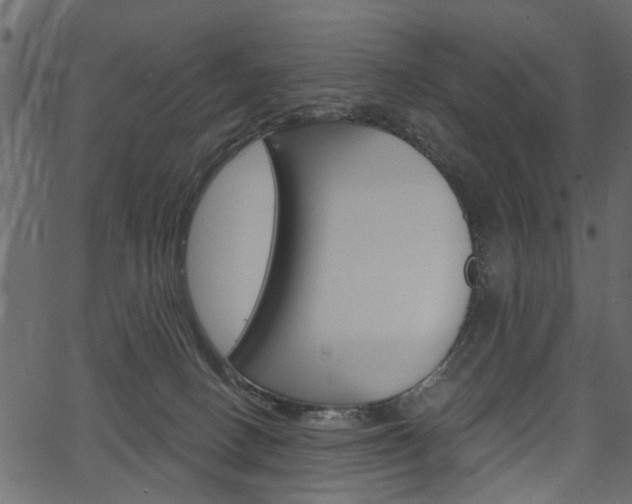 X0000067390082200603311006