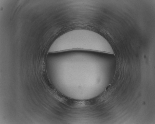 X0000067390083200603311006