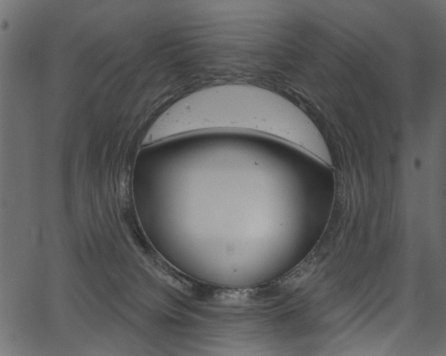 X0000067390084200603311006